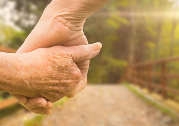 Companionship Services Companionship Services